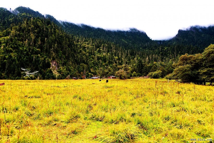 西藏林芝南伊沟风景图片大全