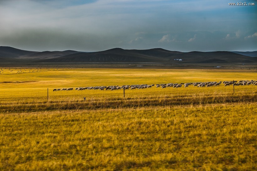 内蒙古呼伦贝尔草原秋天风景图片