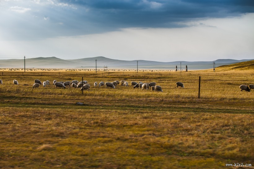 内蒙古呼伦贝尔草原秋天风景图片