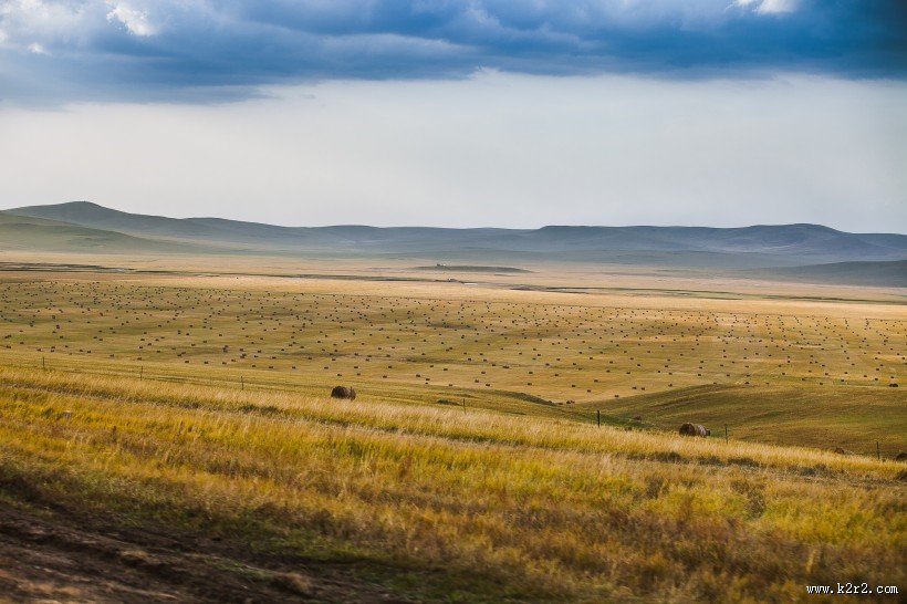 内蒙古呼伦贝尔草原秋天风景图片