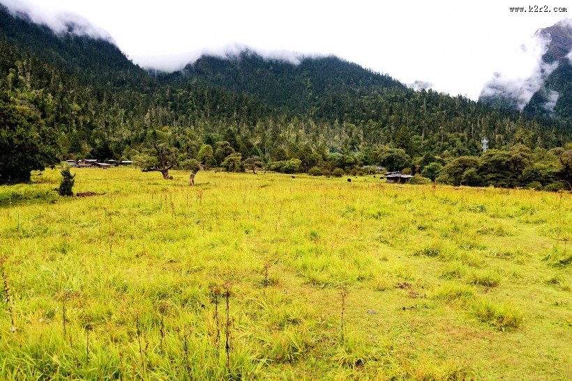 西藏林芝南伊沟风景图片