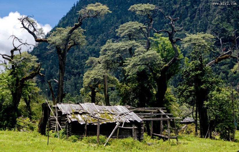 西藏南伊沟风景图片大全