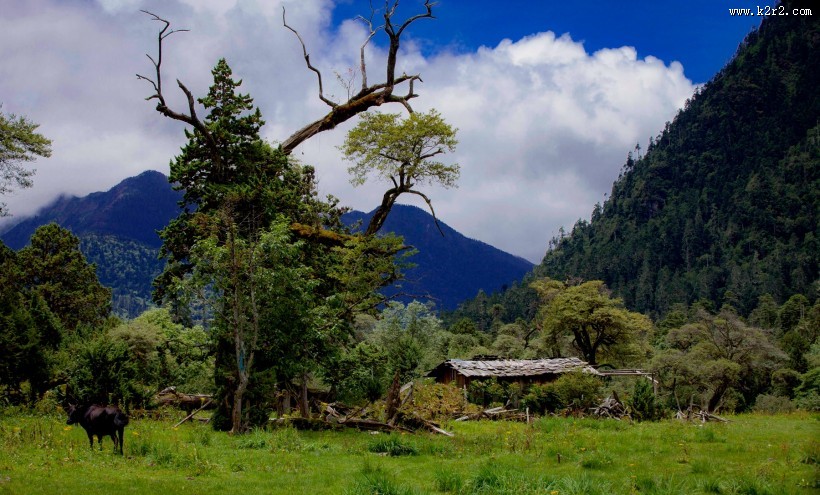 西藏南伊沟风景图片大全