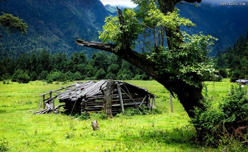 西藏南伊沟风景图片大全