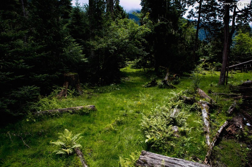 西藏南伊沟风景图片大全