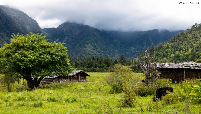 西藏南伊沟风景图片大全