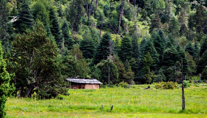 西藏南伊沟风景图片大全