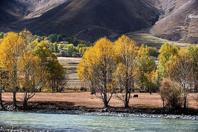 四川新都桥风景图片