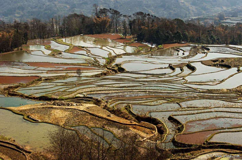 云南元阳梯田风景图片