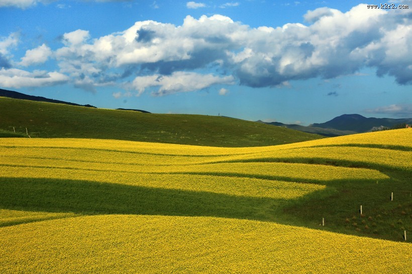 青海祁连山风景图片