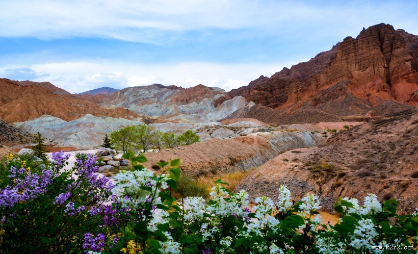 青海贵德国家地质公园风景图片