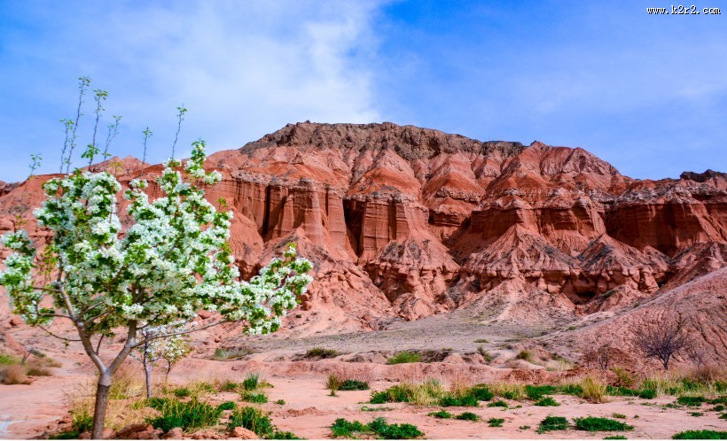 青海贵德国家地质公园风景图片
