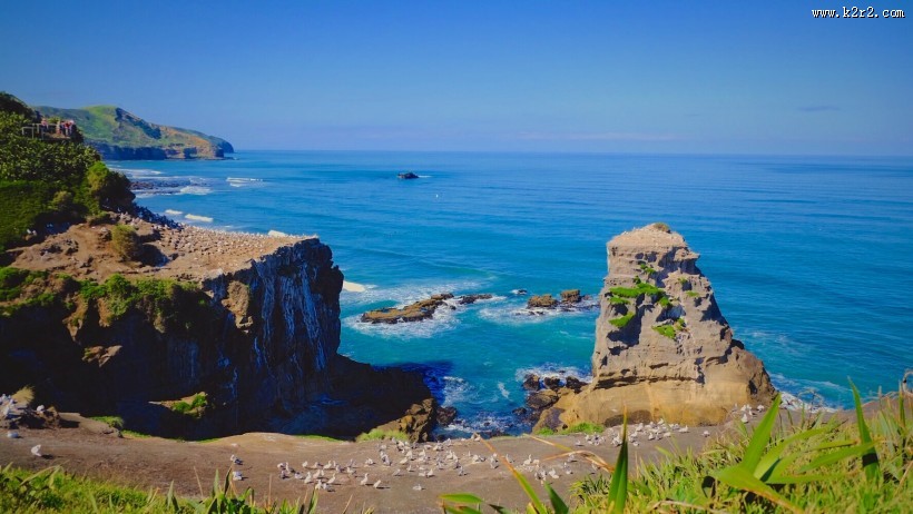 新西兰奥克兰鸟岛黑沙滩风景图片