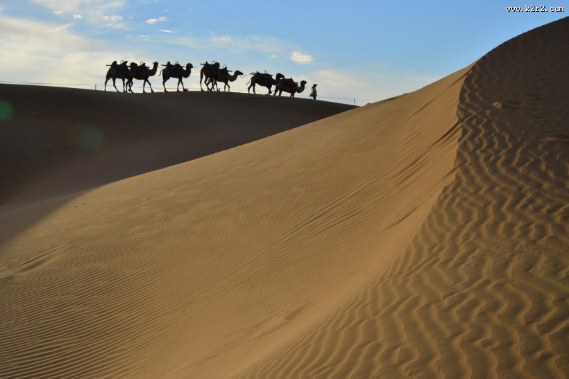 宁夏沙坡头风景图片