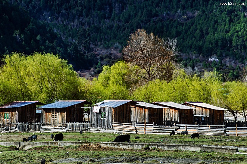 西藏林芝风景图片