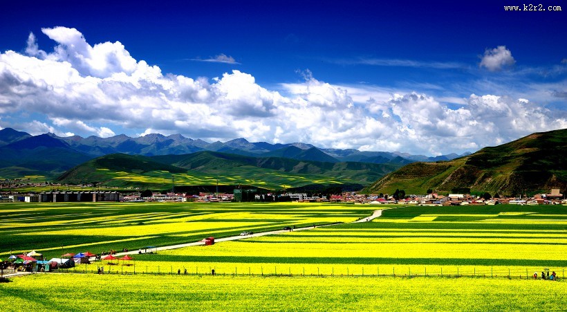 大美青海门源风景图片