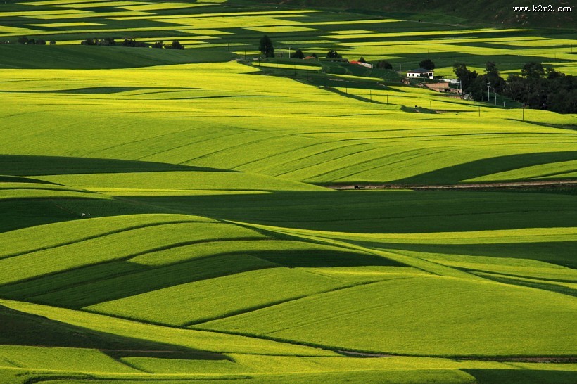 青海祁连山风景图片大全