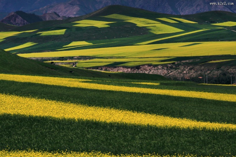 青海祁连山风景图片大全