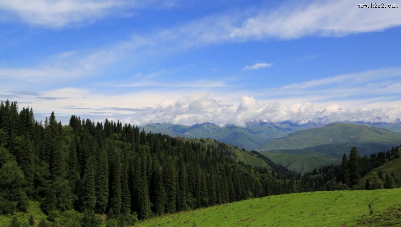 新疆那拉提草原风景图片