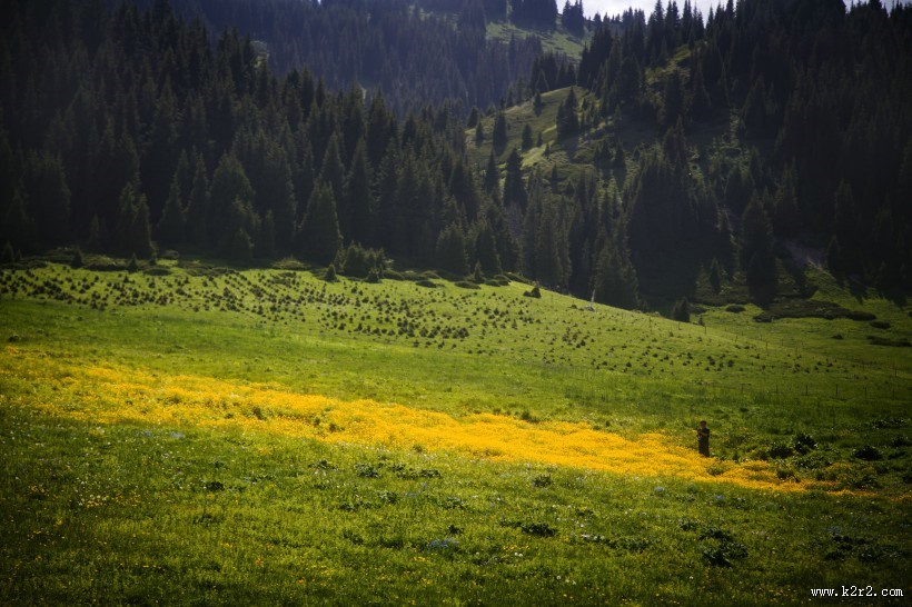 新疆赛里木湖图片