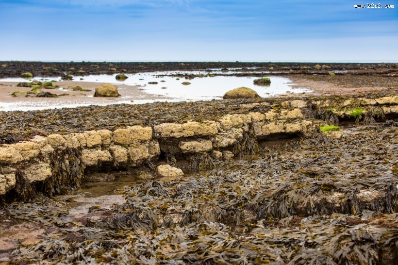 英国惠特比罗宾汉湾海滩风景图片大全