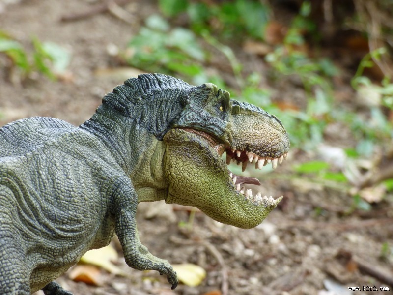 白垩纪时期的恐龙模型图片