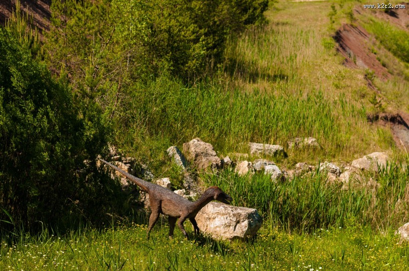 白垩纪时期的恐龙图片