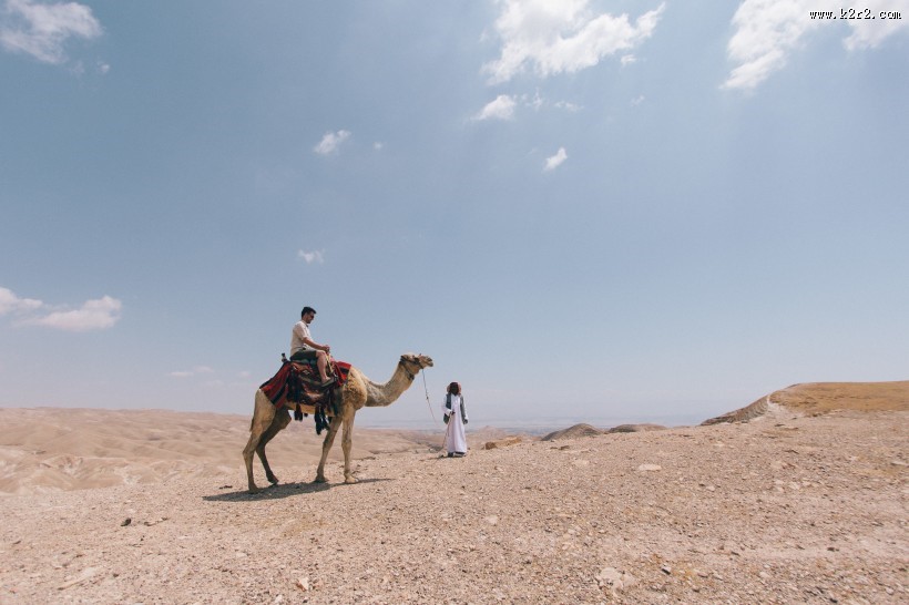 沙漠中的骆驼图片
