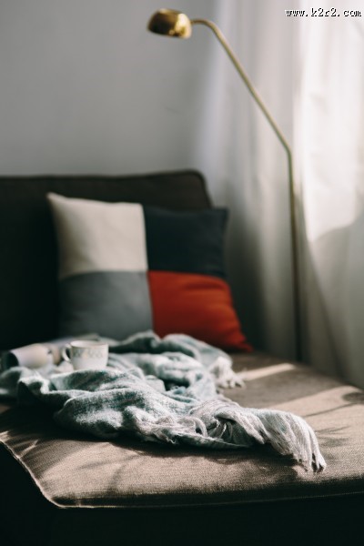 沙发上的杂志和小狗的图片大全