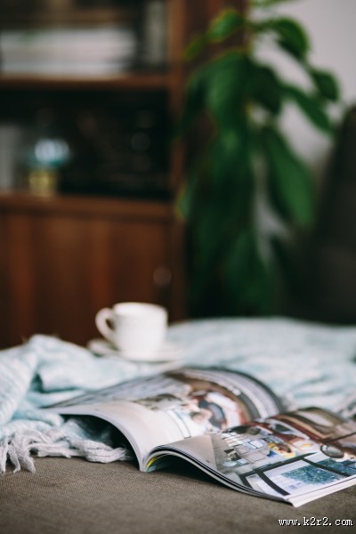 沙发上的杂志和小狗的图片大全