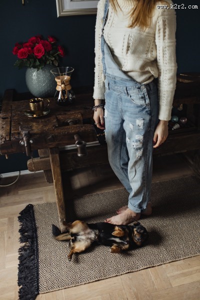 黑色的小狗图片大全