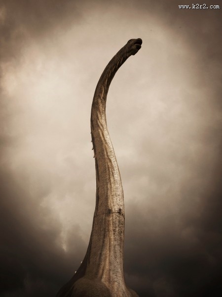 恐龙模型和恐龙化石图片