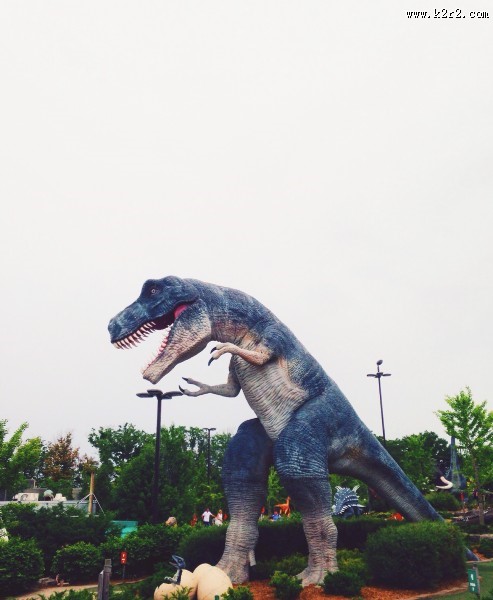 恐龙模型和恐龙化石图片