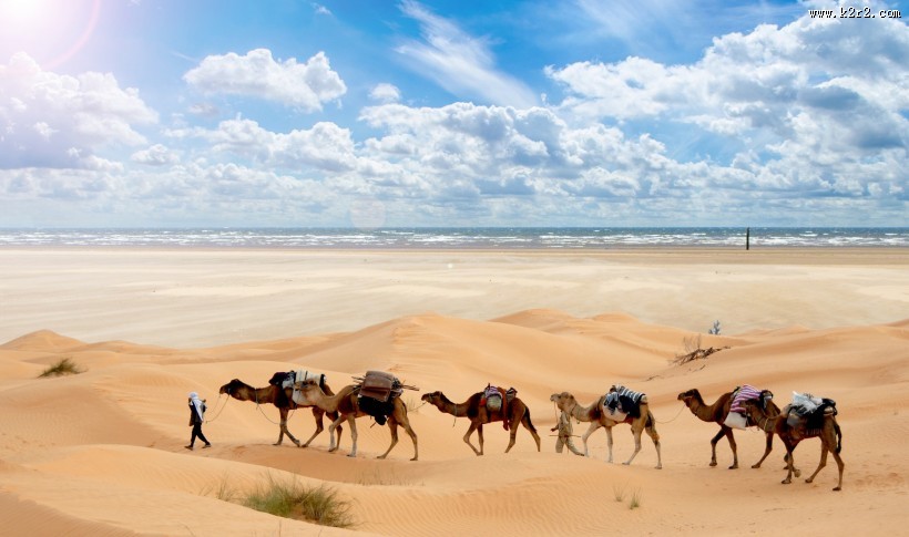 沙漠中骑行的骆驼图片