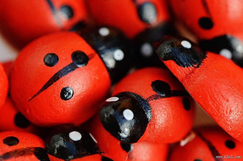 可爱彩色小瓢虫图片