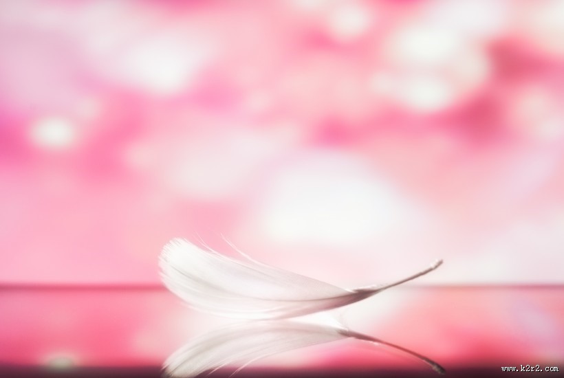 五颜六色 轻盈柔软的羽毛图片