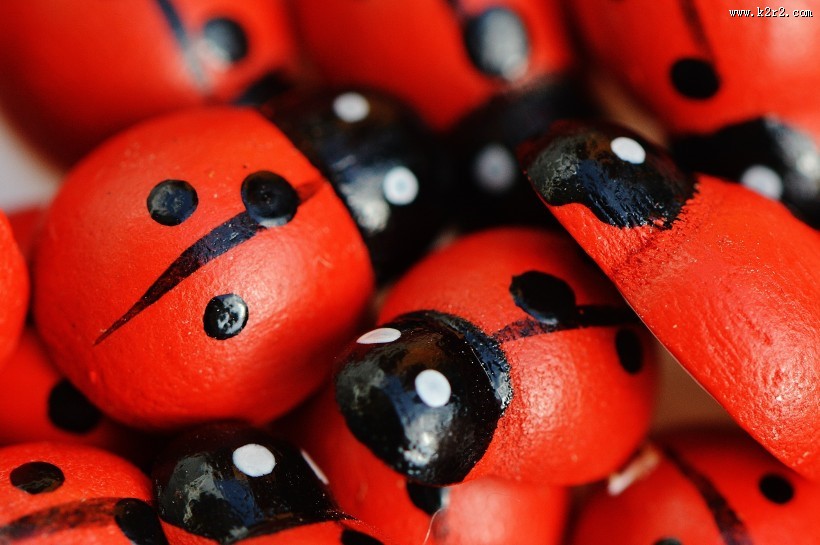 可爱彩色小瓢虫图片