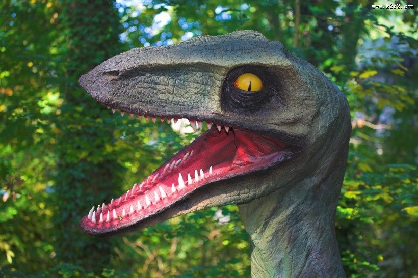 恐龙高清图片