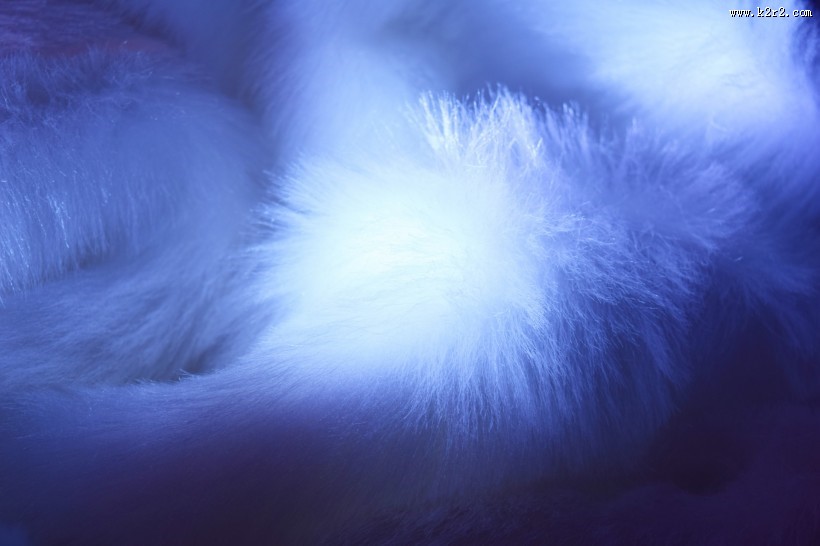 柔软的皮草图片大全