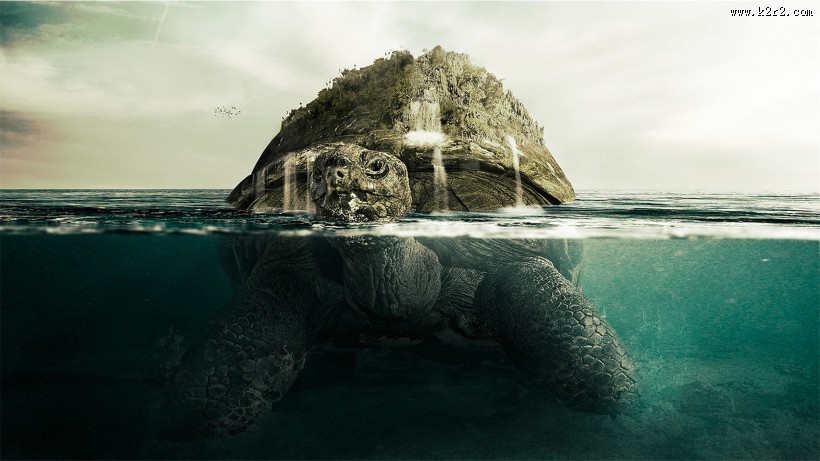 陆栖性动物乌龟图片