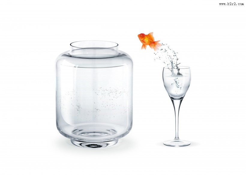 鱼缸中的金鱼图片