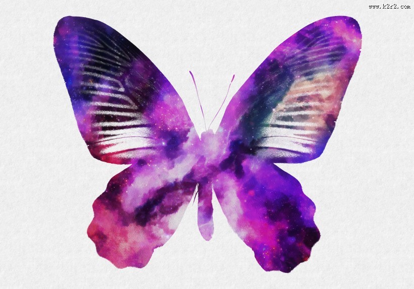 彩色蝴蝶剪影图片