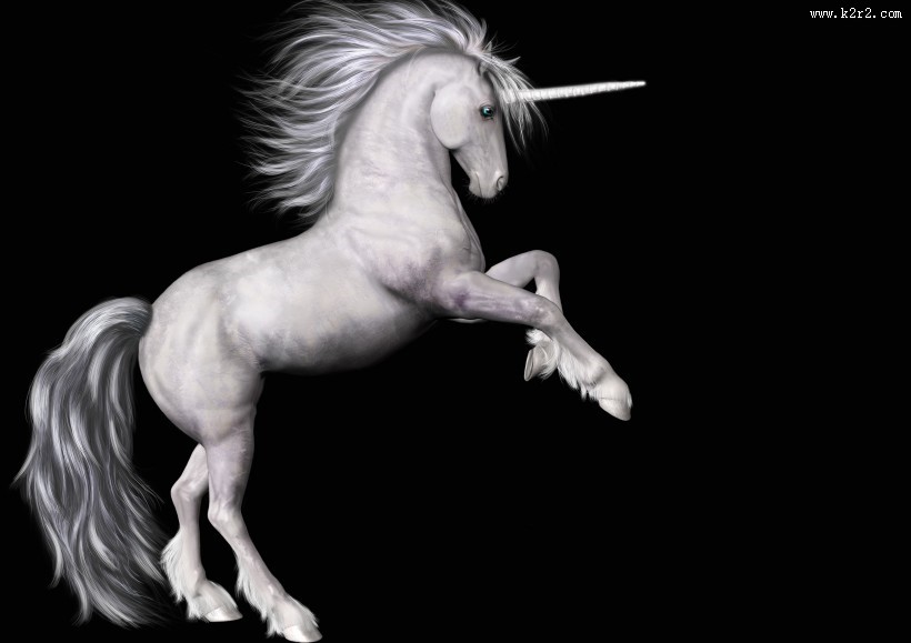 美丽的独角兽图片