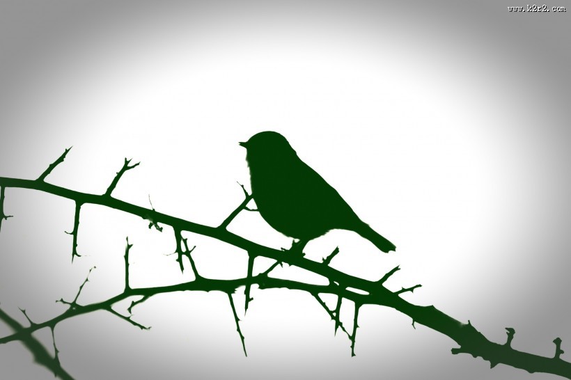 树枝上的麻雀剪影图片大全