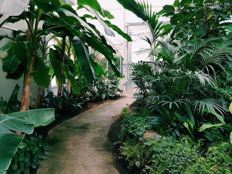 温室花房图片第1张