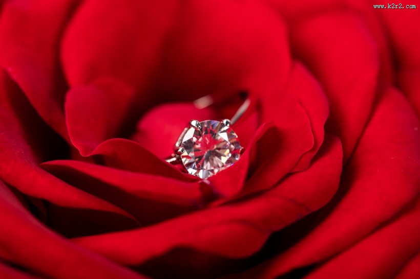 红色玫瑰花图片