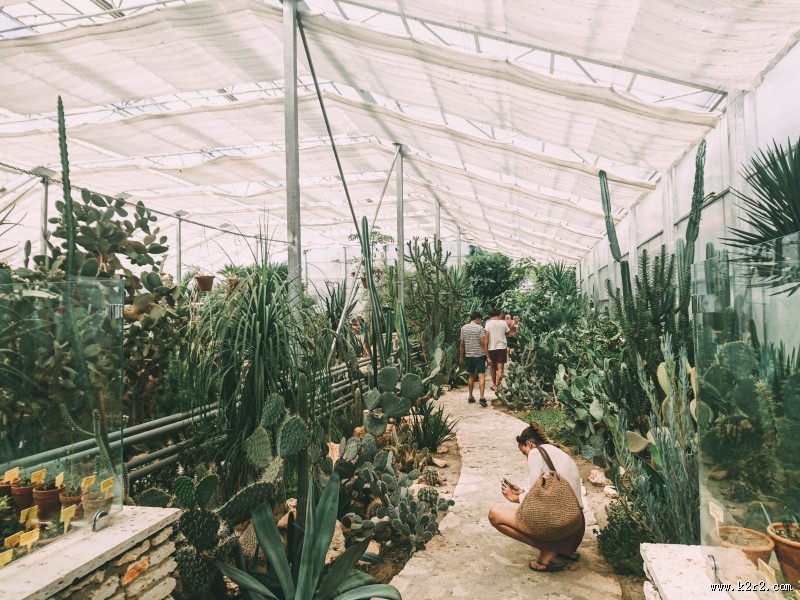 漂亮的花园图片