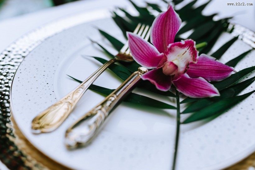 异国情调的鲜花和绿色植物图片