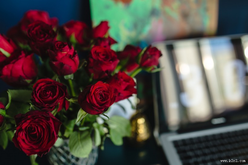 桌上的红玫瑰图片大全