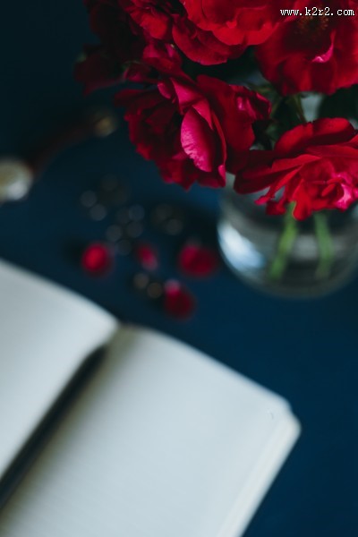 办公桌上的红玫瑰图片